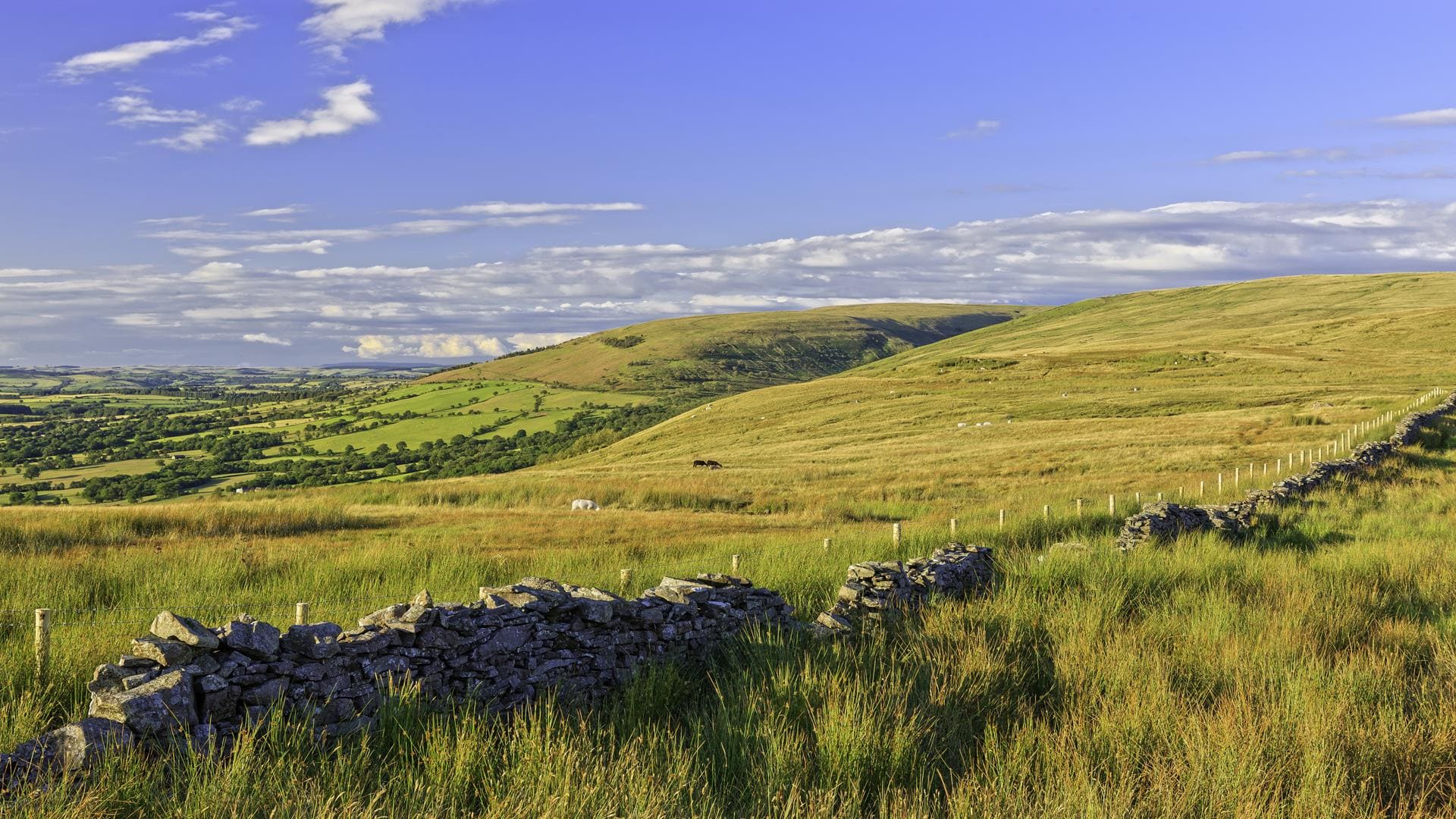 Brecon Beacons